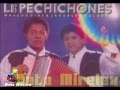 Se fue un cantante- Los Pechichones (Con Letra)