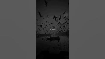 Playdate Lyrical Edit   Audio   Video   Slowed   Sped Up   #shorts #music #playdate