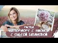 Вебинар от Ольги Базановой - "Натюрморт с пионами". Пишем маслом