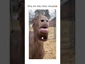 very funny video 🤣🤣#viral #funny #video #shorts #subscribe #short