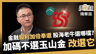 【精華】金融股利報復性來襲 股海老牛加碼不選玉山金 竟改選它《鈔錢部署》盧燕俐 ft.股海老牛 20240408