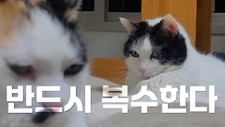 감히 나를 건드려??(복수혈전)