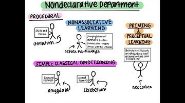 Declarative and Nondeclarative Memory – WRIT340 A2 Audio Visual Component