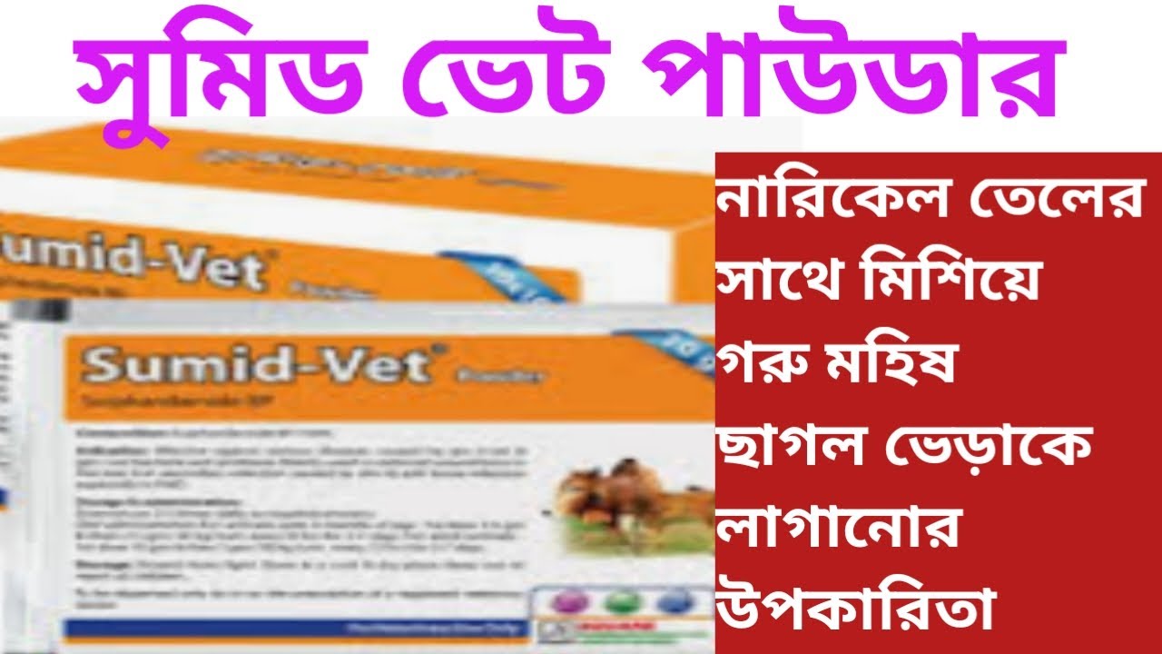 Sumid vet powdet গরু মহিষ ছাগল ভেড়া যে ভাবে কাজ করে। - YouTube