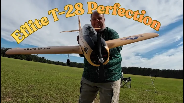 Eflite T-28  Got Gusted, Just Some XXXX