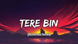 Tere Bin [Slowed+Reverb] - Rahat Fateh Ali Khan, Asees Kaur | BollyLofi | textaudio