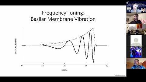 Transforming hearing aids into multipurpose devices w/artificial intelligence by Dr. Achin Bhowmik