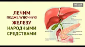 МУДРОСТИ СОВЫ
