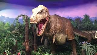 2025 01 24 樂天民俗博物館 舊石器時代 南韓 首爾 1 10 Paleolithic 