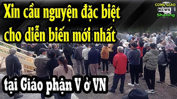 Xin cầu nguyện đặc biệt cho diễn biến mới nhất tại Giáo phận V ở VN