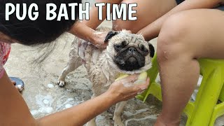 My Pug is finally ready to take a bath   | Dog bathing at home | how to bathe a dog at home