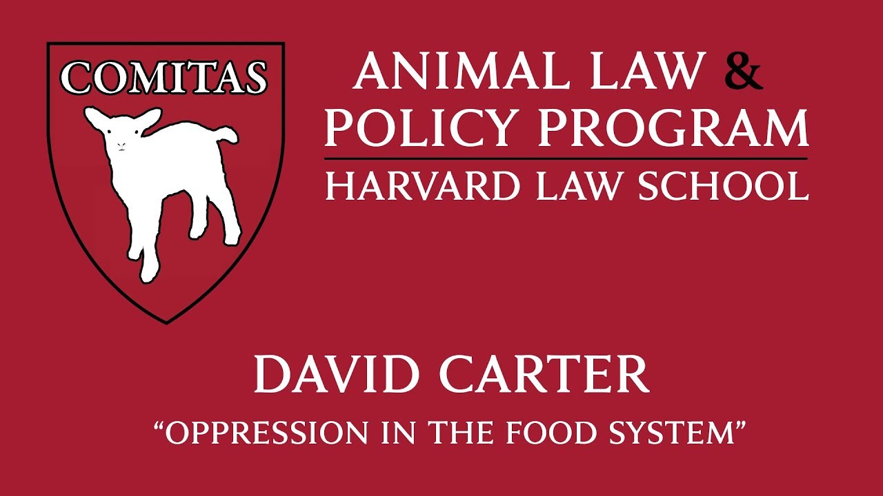 Animal Law Week at HLS | David Carter, "Oppression in Food System"