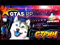 НЕВЕРОЯТНЫЙ СТРИМ GTA 5 RP ALTA С ГОВОРЯЩИМ ПЁСИКОМ) ЗАЛЕТАЙ ПОИГРАЕМ \ ГТА 5 РП ОНЛАЙН