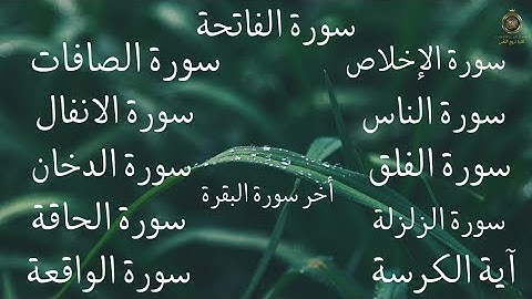 سورةالفاتحة سورةالأنفال الواقعة سورةالصافات الدخان سورةالحاقة المعوذات الزلزلة آية الكرسي آخر البقرة