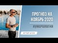 Прогноз на ноябрь. Что необходимо делать в ноябре, для реализации своих проектов?