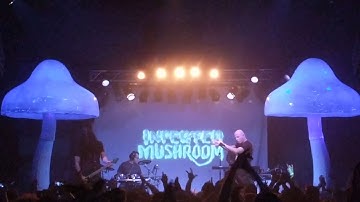 Infected Mushroom - Manipulator (Intro)