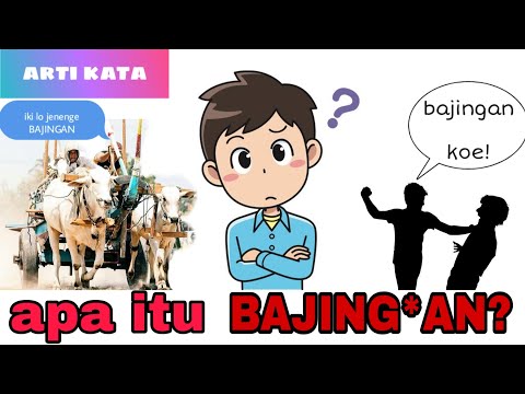 Video: Apa Itu Bajingan Dan Apa Kaitan Arshavin Dengannya