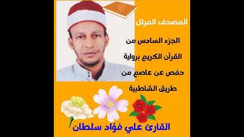 الجزء السادس من القرآن الكريم برواية حفص عن عاصم بصوت الشيخ علي فؤاد سلطان 