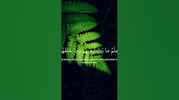 #آية_الكرسي #إسلام_صبحي #تلاوة_خاشعة