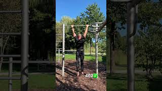 День 00462 | подтягивания каждый день | day 00462 | pull ups every day | Klimmzüge jeden Tag