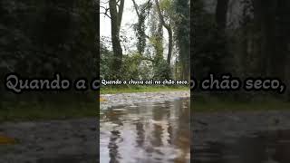 O cheiro da chuva tem nome! #curiosidades #shorts #chuva