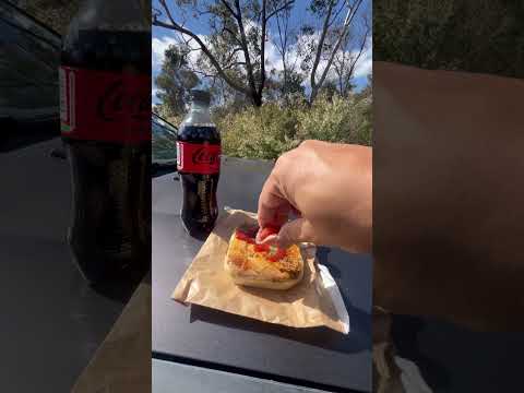 Pepper steak pie from the Gidgegannup Bakery, Perth W.A