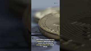 Sovereign Wealth Funds Are Buying Bitcoin Is 500K Next?