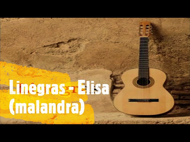 Linegras - Elisa (malandra) class=