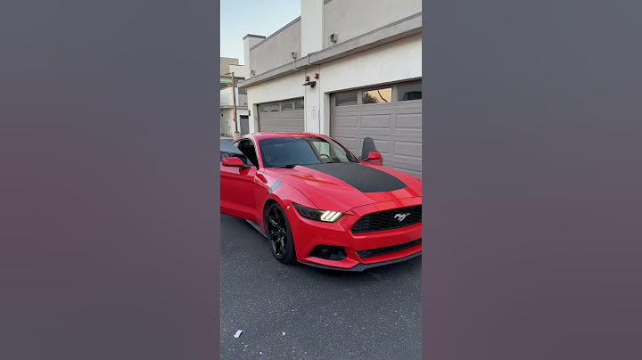 The reason I fell in love in the first place #automobile #mustang #fordperformance #cartok #trending
