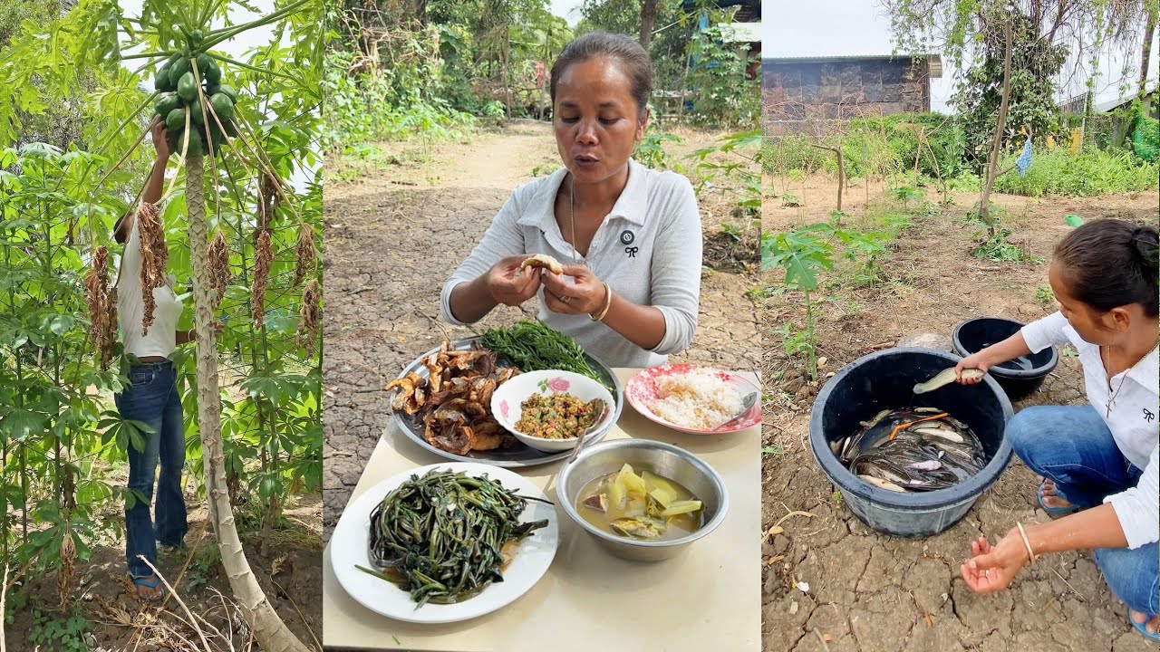 Блюдо из риса и рыбы