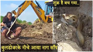 बुलडोज़र के नीचे आया यह नाग साँप.. शुक्र है बच गया.. Cobra rescued.. 