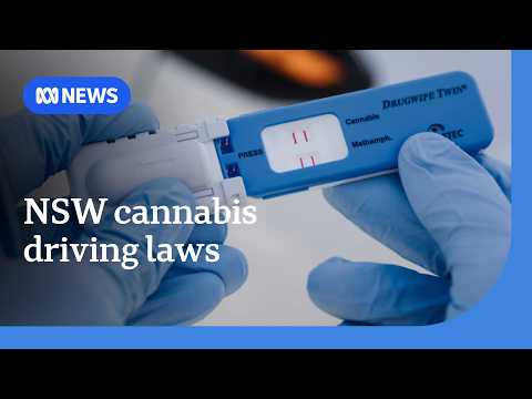 NSW to allow medicinal cannabis users to drive with 'traces of THC' in their system | ABC NEWS