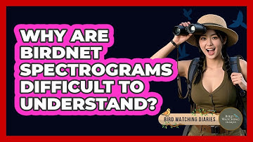 Why Are BirdNET Spectrograms Difficult To Understand? - Bird Watching Diaries