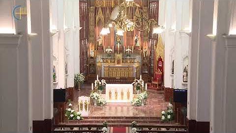 Từng bước con đi (GIANG ÂN)