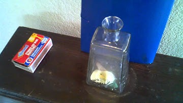 Science project.  PA Walsh video #4.