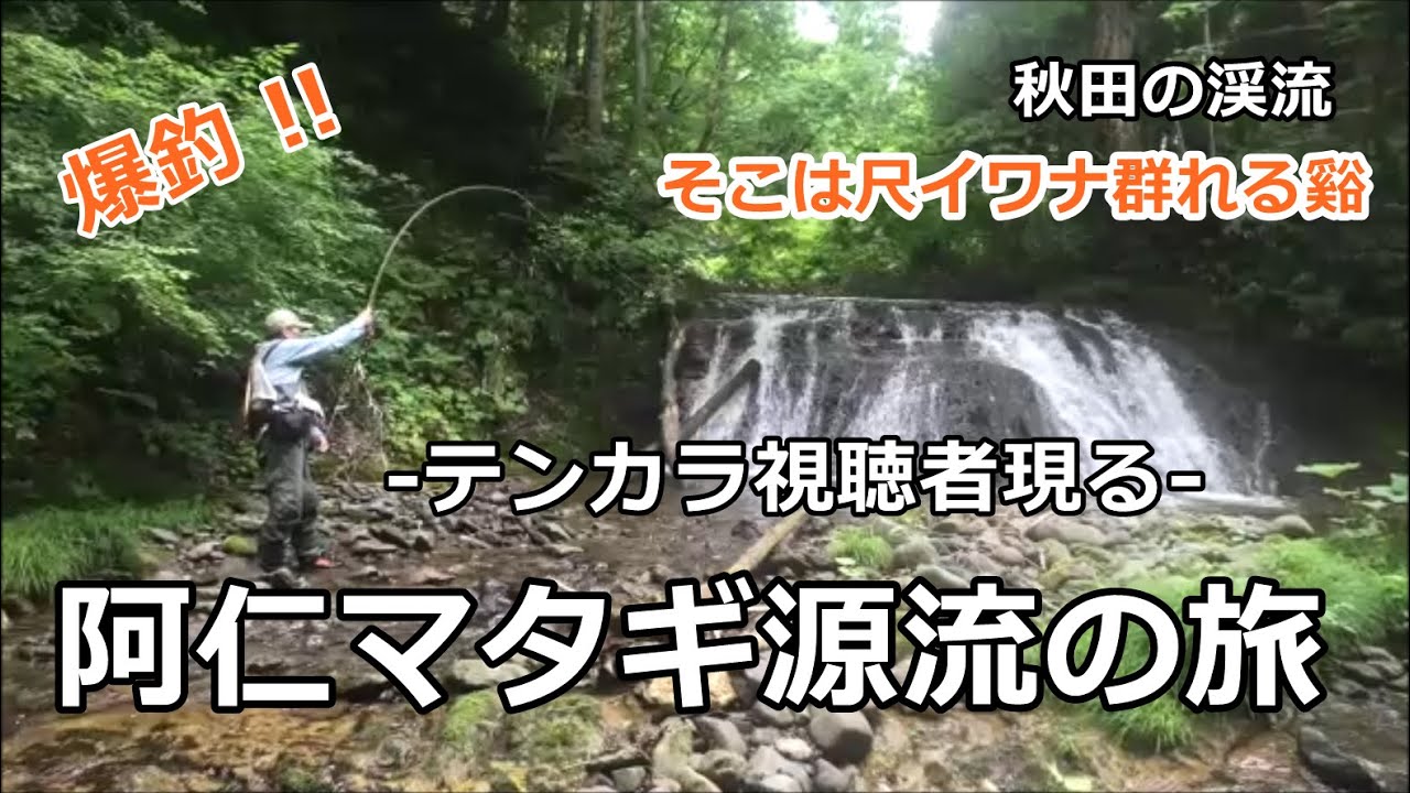 阿仁マタギ源流の旅 / イワナ30cm×2 テンカラ視聴者現る / 秋田の渓流 / みちのく釣りの旅  ﾌﾗｲﾌｨｯｼﾝｸﾞ渓流釣り(4K) fly fishing