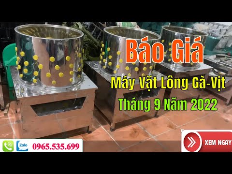 Video Giá Bán Máy Vặt Lông Gà Vịt Mới Nhất Tháng 9 Năm 2022 - youtube
