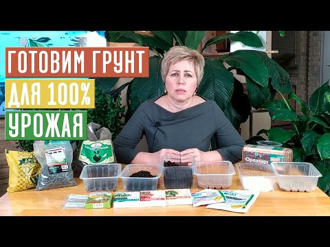 СЕЗОН 2020: Готовимся к посадке: АНАЛИЗ ПОЧВЫ, ПРОВЕРКА КИСЛОТНОСТИ, ОБОГАЩЕНИЕ ПОЧВЫ / Садовый гид