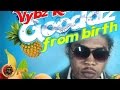 Vybz Kartel Goodas From Birth Tropical Punch Riddim July 2016 mp3