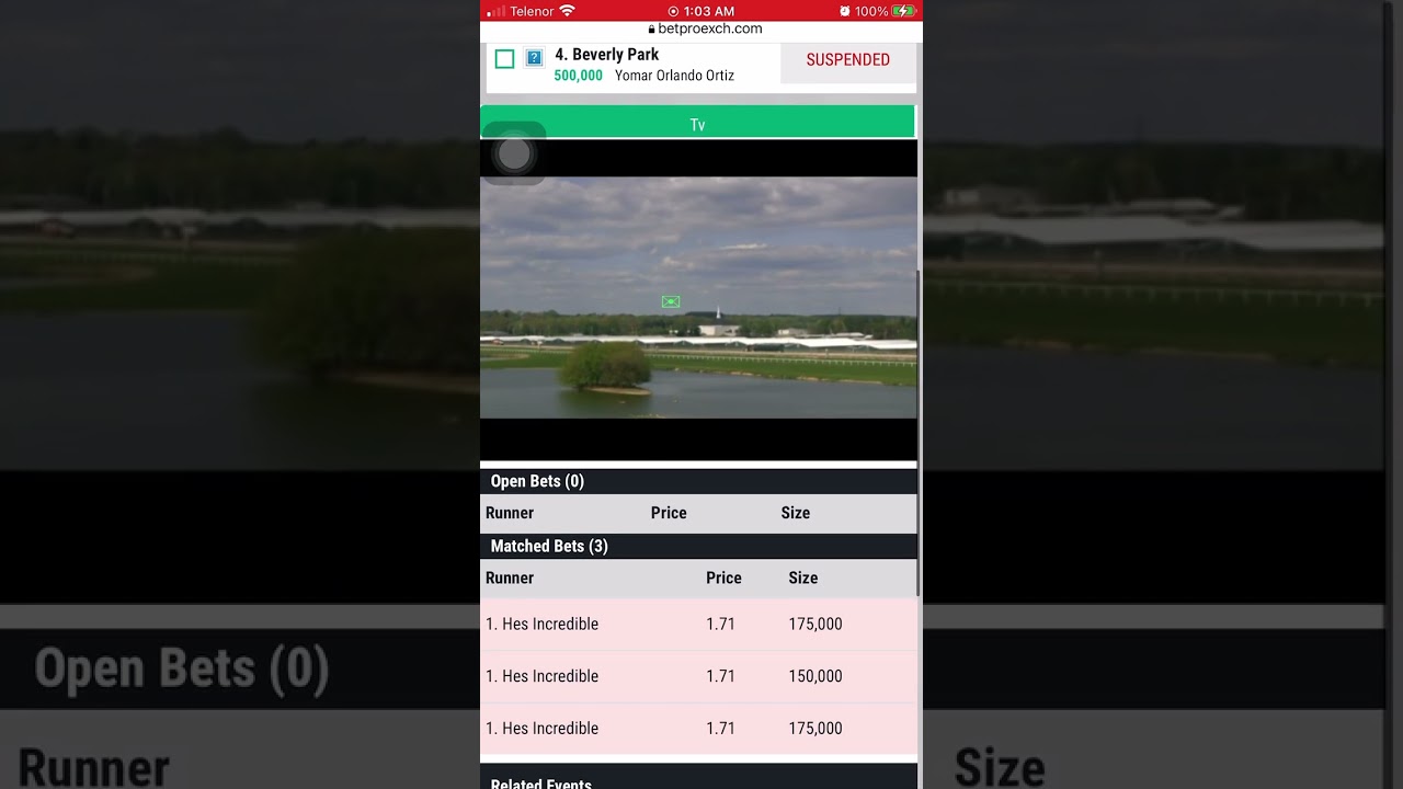 Horse Racing Basics For Catching Jackpot Strategy In Bpexch Tips Horse Racing Basics For Catching Jackpot Strategy In Bpexch Tips