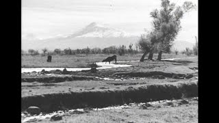 видео: ԽՈՐՀՐԴԱՅԻՆ ՀԱՅԱՍՏԱՆ / СОВЕТСКАЯ АРМЕНИЯ 1946թ. картинка: ԽՈՐՀՐԴԱՅԻՆ ՀԱՅԱՍՏԱՆ / СОВЕТСКАЯ АРМЕНИЯ 1946թ.