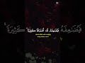 من ذا الذي يقرض الله قرضا حسنا ..فيضاعفه له أضعافا كثيرا❤️ تلاوة روحانية جميلة خاشعة ❤️ #قران_كريم