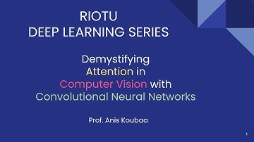 Demystifying Attention in Computer Vision with Convolutional Neural Networks