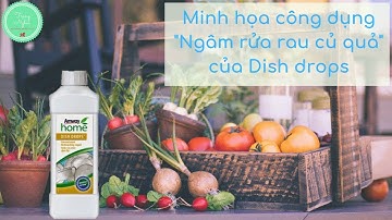 Minh họa công dụng ngâm rửa rau củ quả của nước rửa chén Dish Drops của Amway