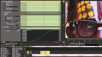 Advanced Pan and Zoom Techniques for Avid Editors