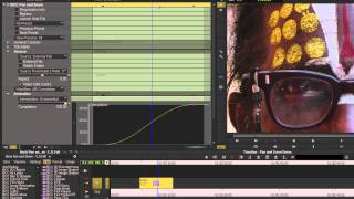 Advanced Pan and Zoom Techniques for Avid Editors