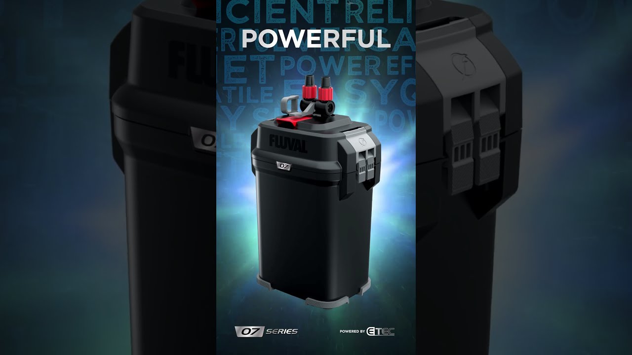 QUIET, EFFICIENT, POWERFUL | Fluval 07 Series 🔥 #shorts