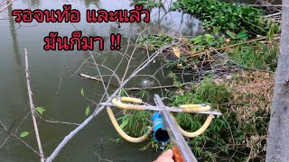 รอจนท้อ รอจนปวดขา และแล้ว !!