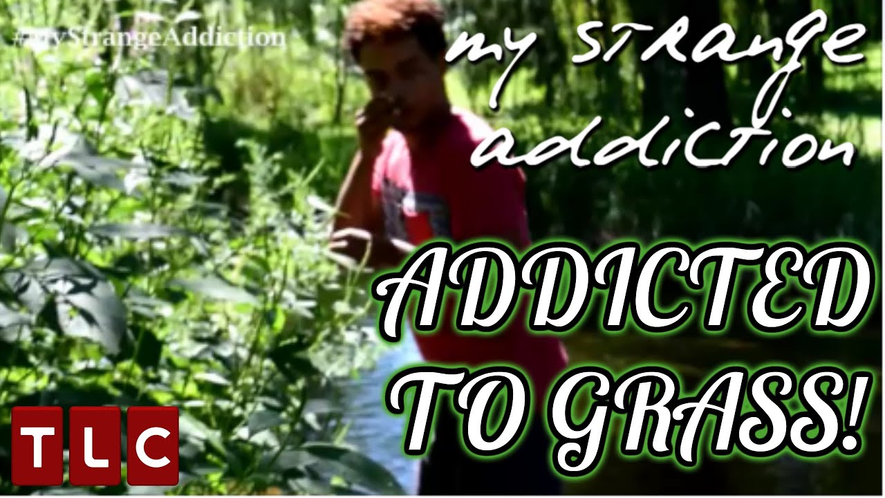 EATING GRASS | MY STRANGE ADDICTION - YouTube - Is Eating Grass A Sign Of Substance Abuse