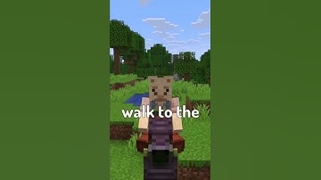 Everything in Minecraft Snapshot 25w46a #shorts #minecraft